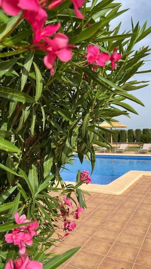 Hotel Finca Sol Y Vida - Agroturismo Son Sampoli Llucmajor  Zewnętrze zdjęcie