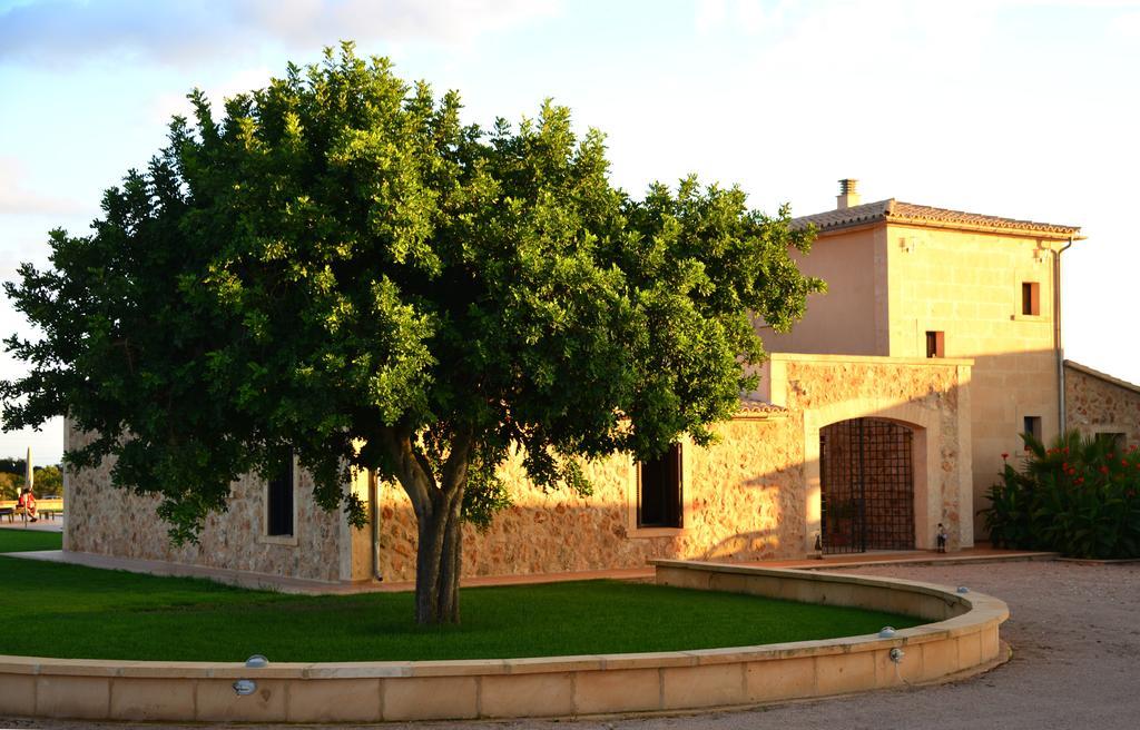 Hotel Finca Sol Y Vida - Agroturismo Son Sampoli Llucmajor  Zewnętrze zdjęcie